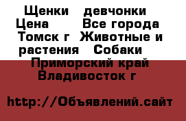 Щенки - девчонки › Цена ­ 2 - Все города, Томск г. Животные и растения » Собаки   . Приморский край,Владивосток г.